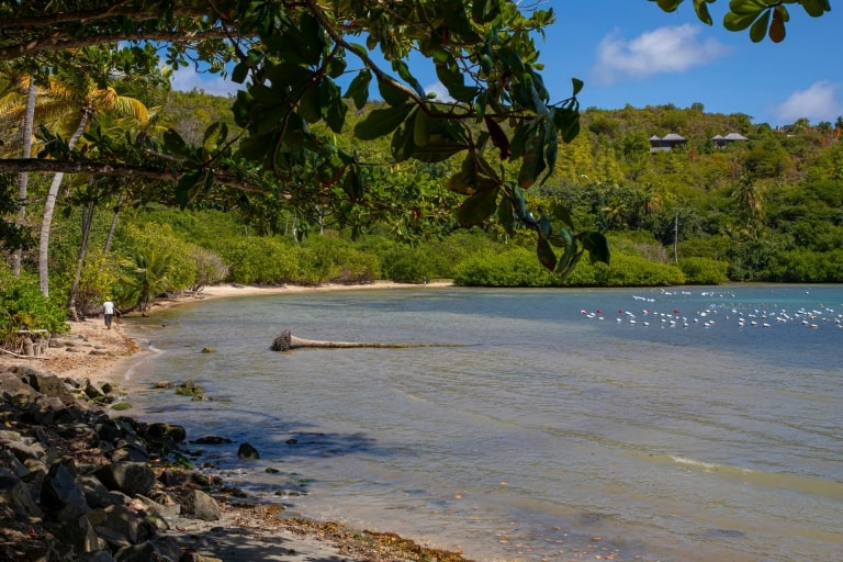 10 Best Beaches in Grenada | Celebrity Cruises