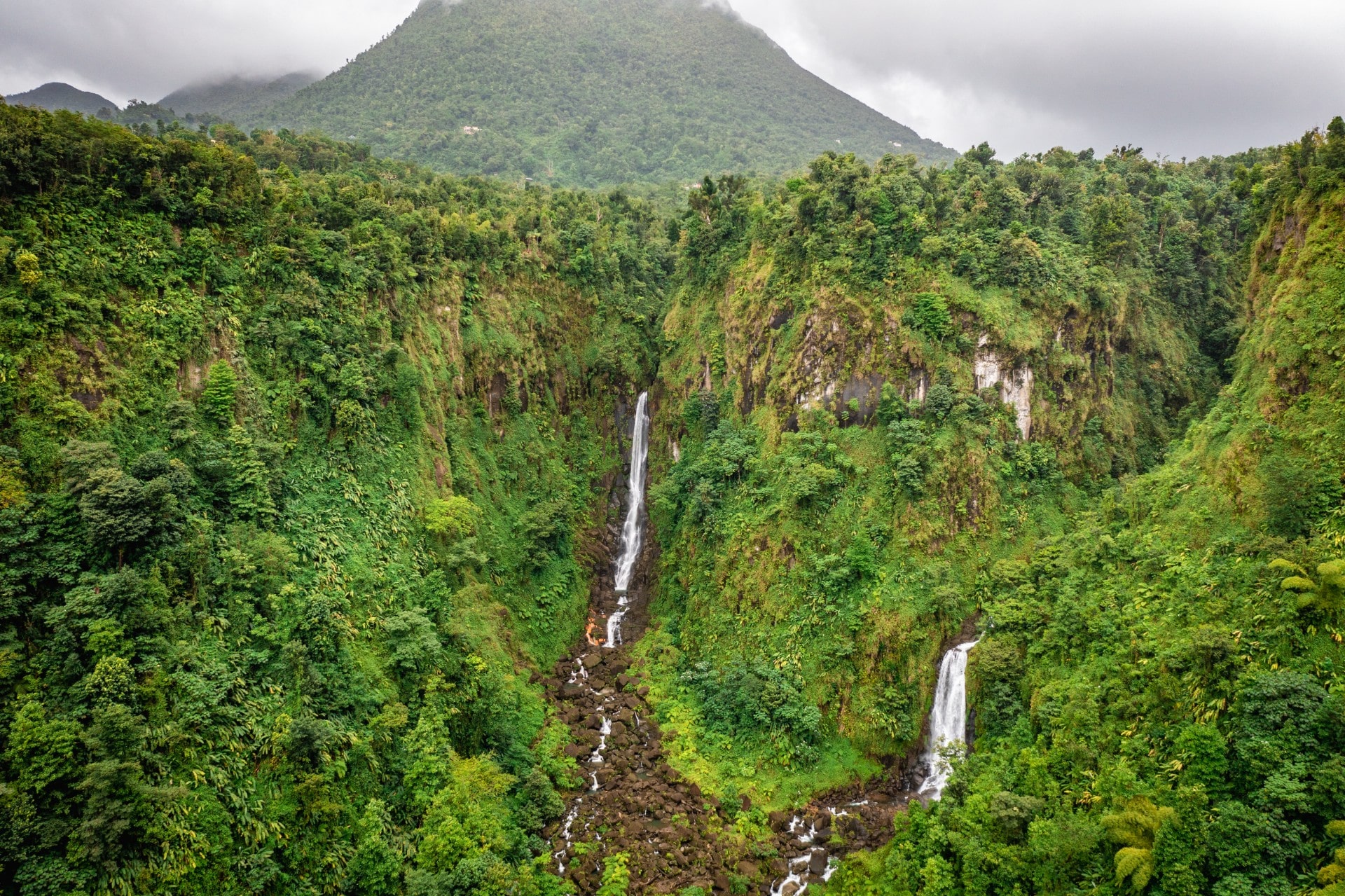 dominica celebrity excursions