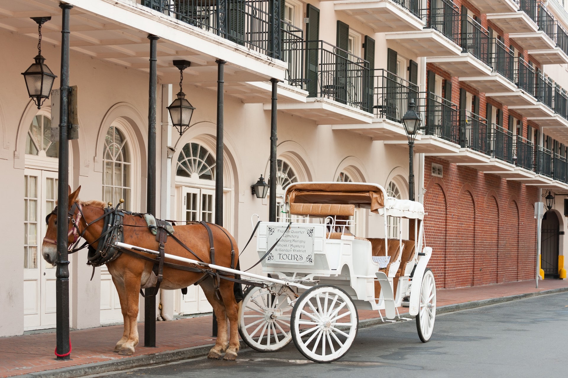 things to do in new orleans french quarter with kids