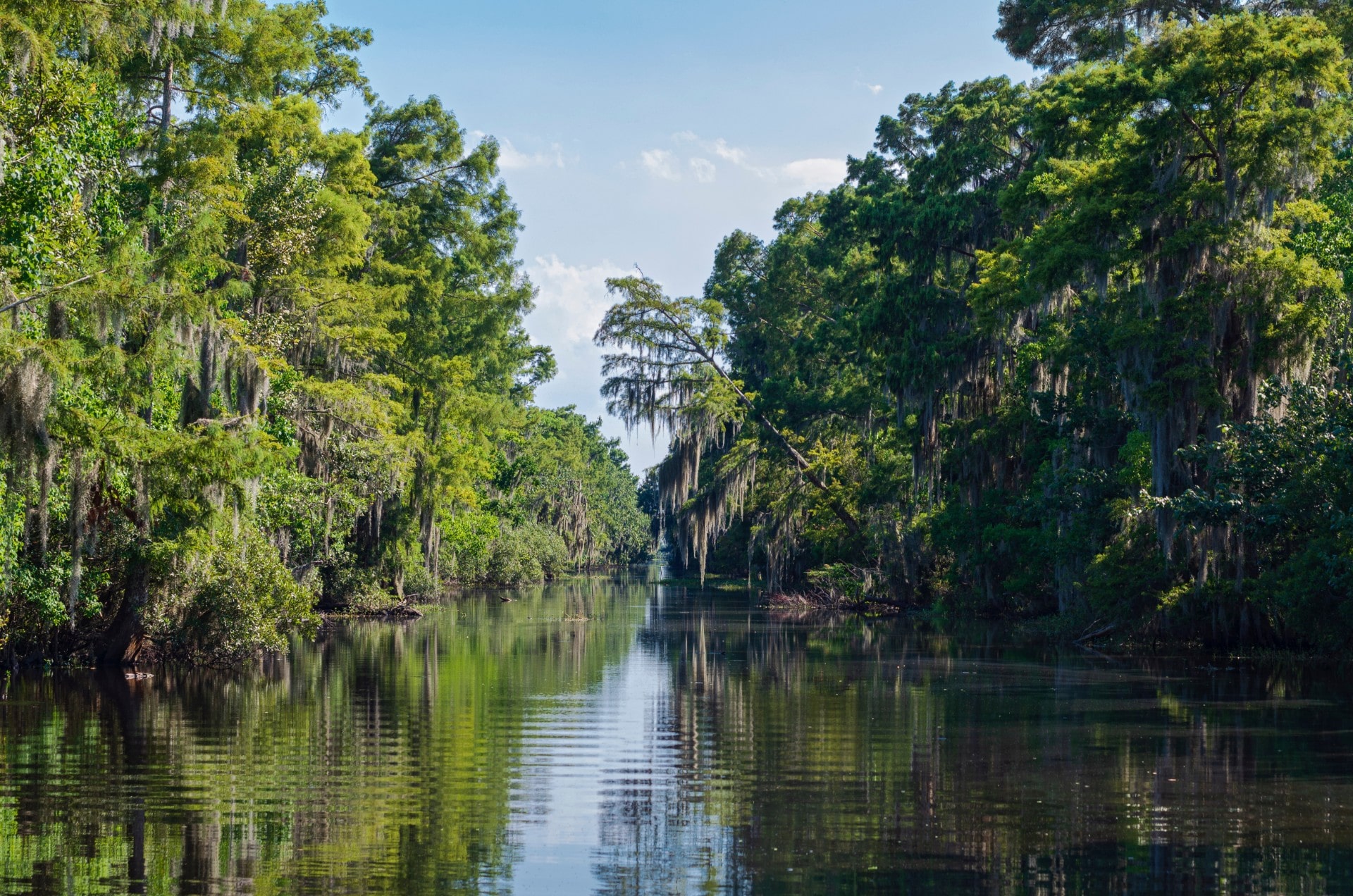 11 Best Things to Do in New Orleans With Kids | Celebrity Cruises