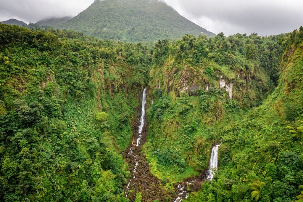Lush landscape of Trafalgar Falls, Dominica