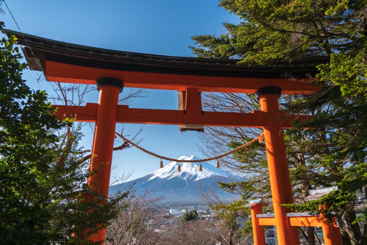 10 Awe-Inspiring Torii Gates In Japan | Celebrity Cruises