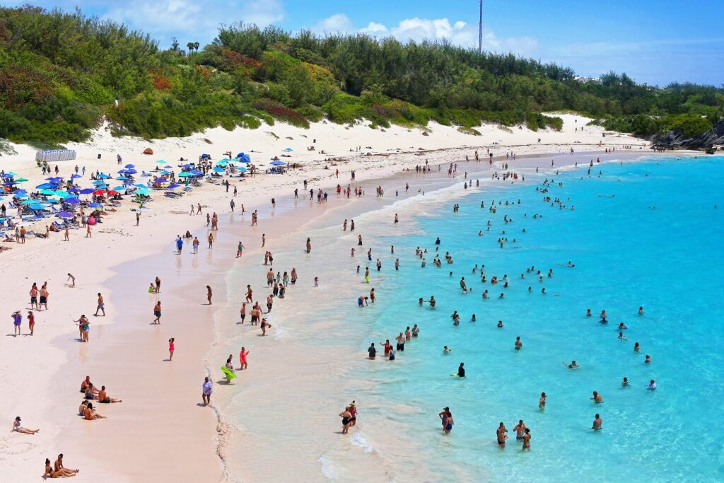 Travel Channel on X: Pink Sand Beach in Bermuda #beach #pinkbeach