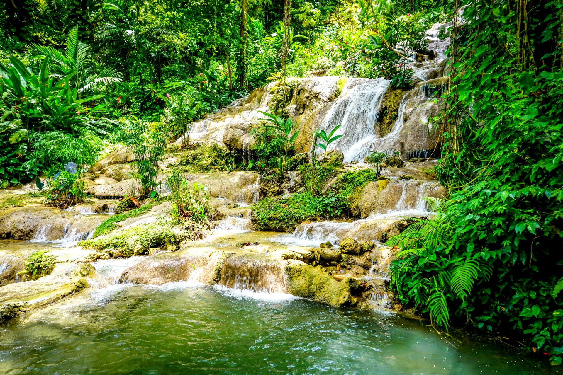 16 Best Things to Do in Ocho Rios | Celebrity Cruises