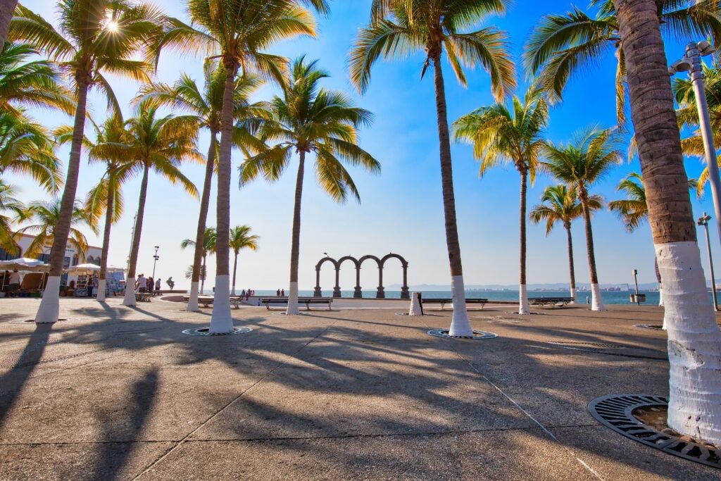 View of Malecon Boardwalk with palm trees