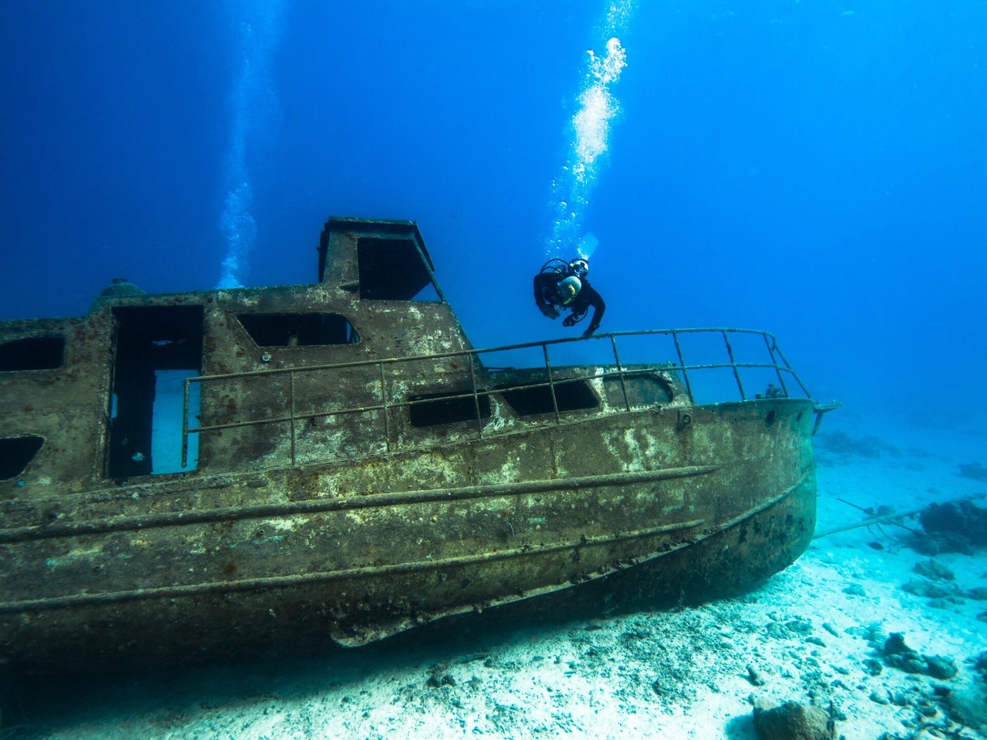 14 Best Scuba Diving Spots in Aruba
