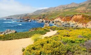 9 Best Beaches In & Around Monterey, California | Celebrity Cruises