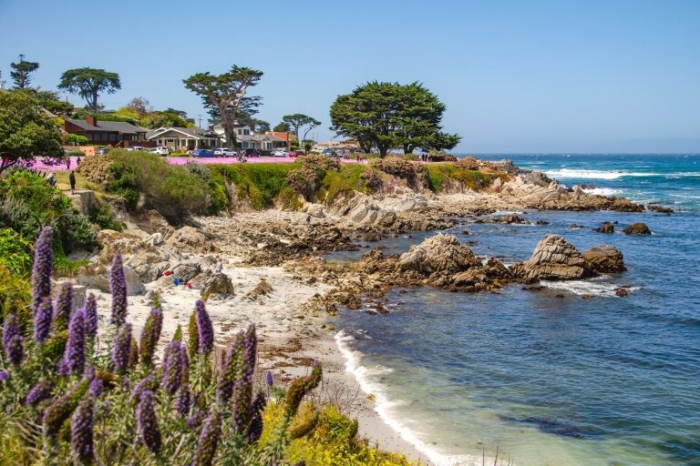 9 Best Beaches In & Around Monterey, California | Celebrity Cruises