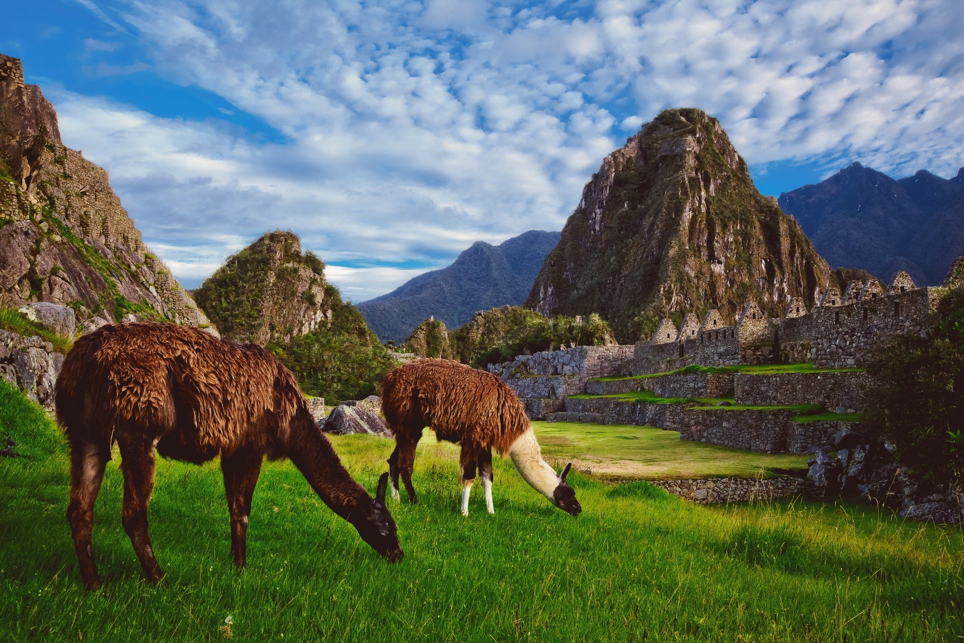 When Is the Best Time to Visit Machu Picchu? | Celebrity Cruises