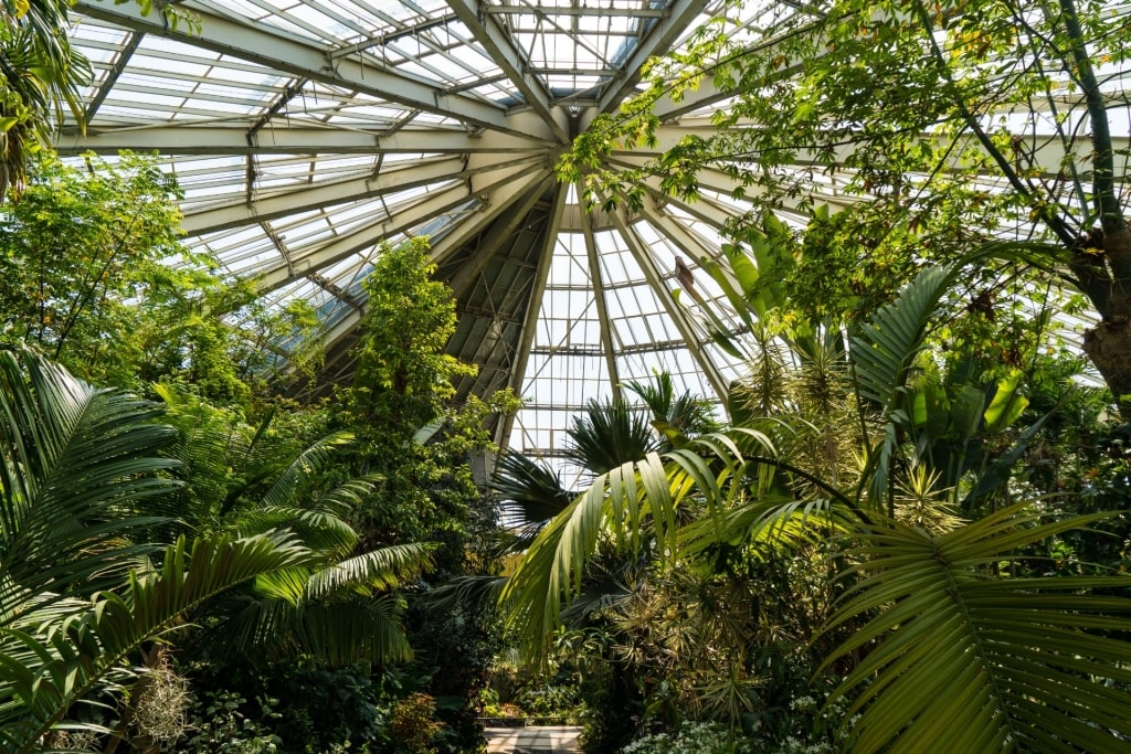 Lush interior of Parc Phœnix