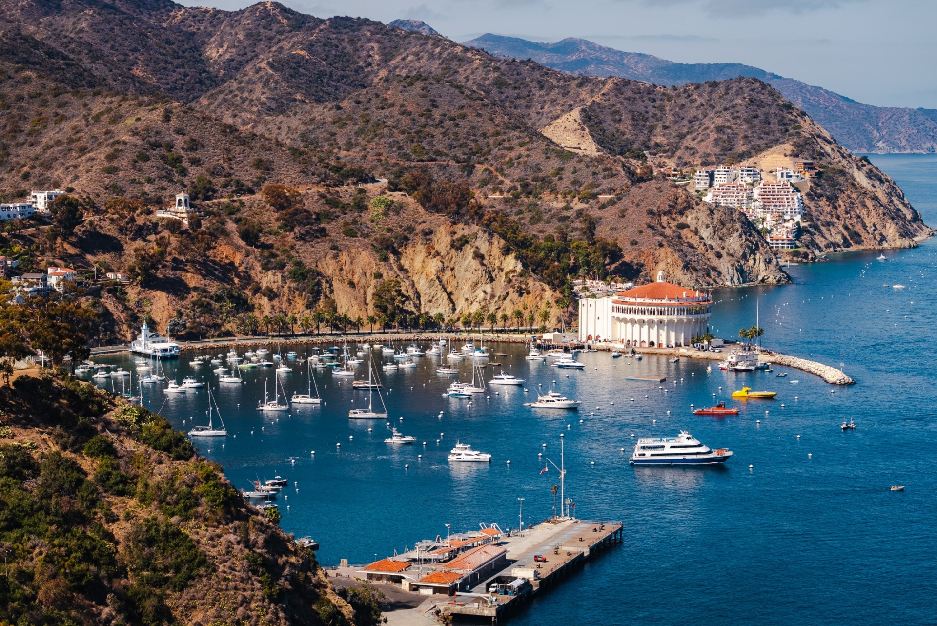 catalina island one day cruise