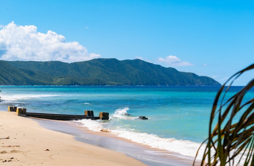https://www.celebritycruises.com/blog/content/uploads/2023/06/clearest-water-in-the-caribbean-cane-bay-beach-st.-croix-u.s.-virgin-islands-view-1024x668.jpg