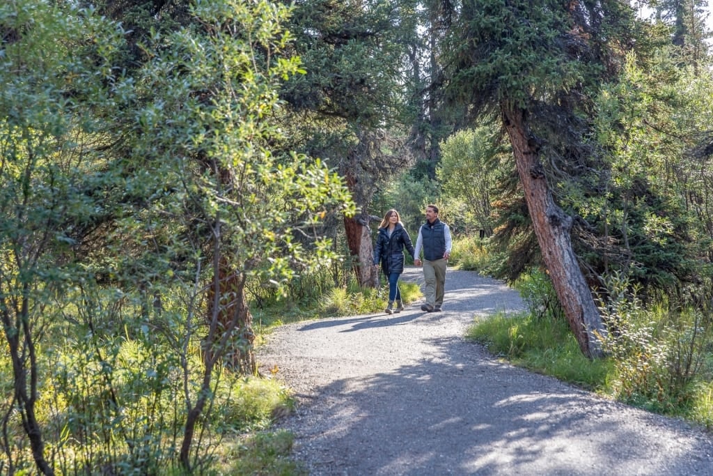 Couple exploring Denali National Park, Alaska in September