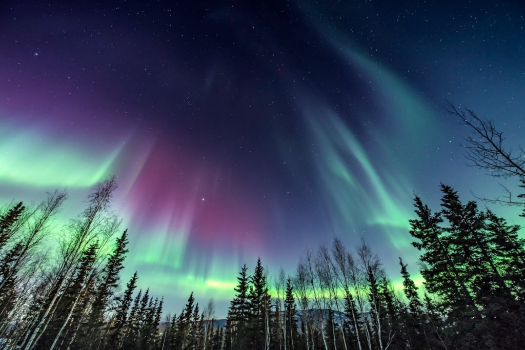 View of the Northern Lights in Alaska