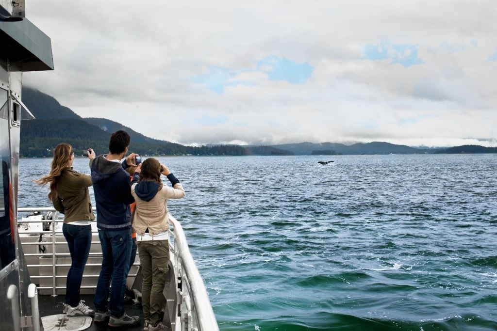 People whale watching in Alaska