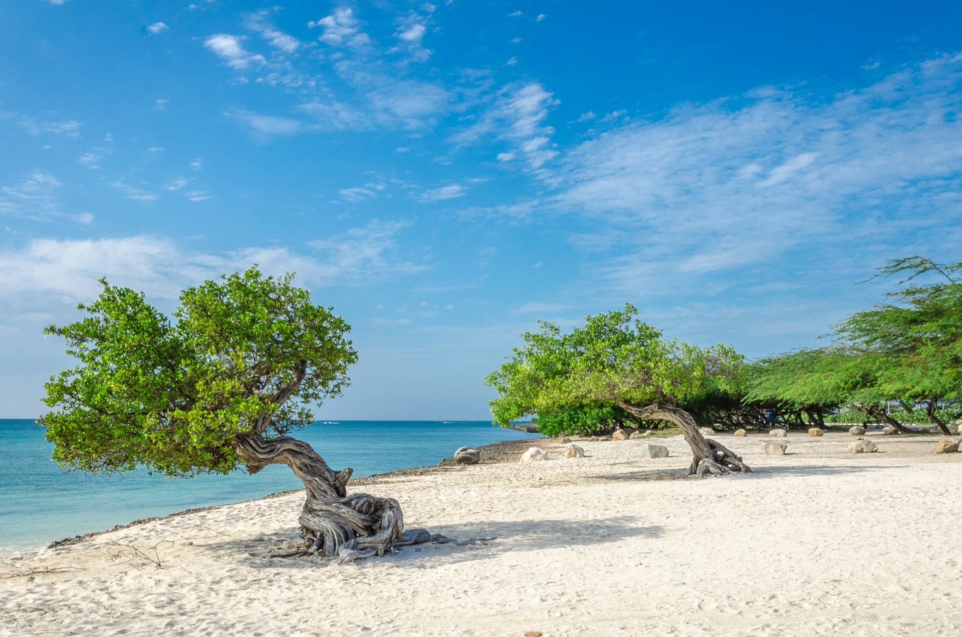 visit aruba in october