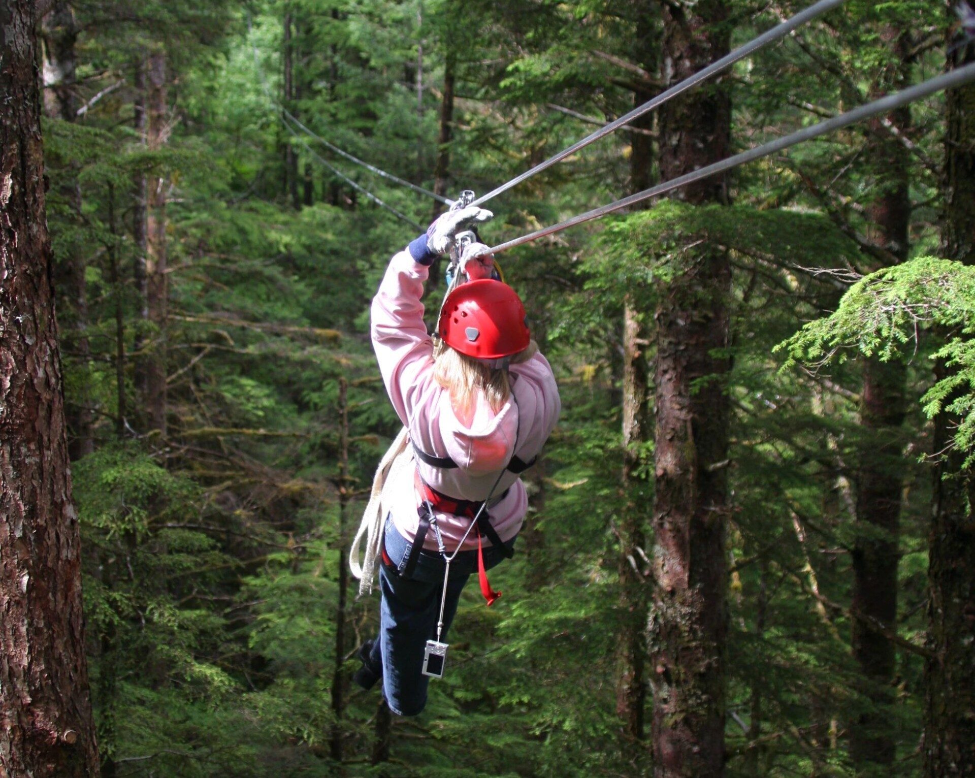 Stoney Creek Canopy Adventures, Canopy tour on the…