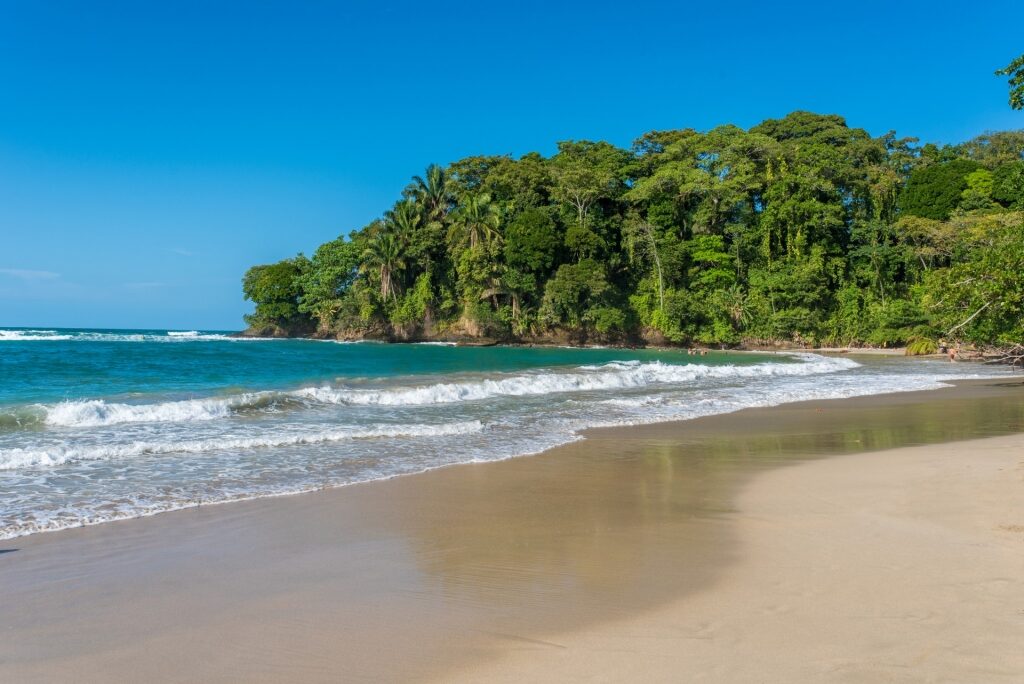Quiet beach of Playa Punta Uva in Puerto Limon, Costa Rica