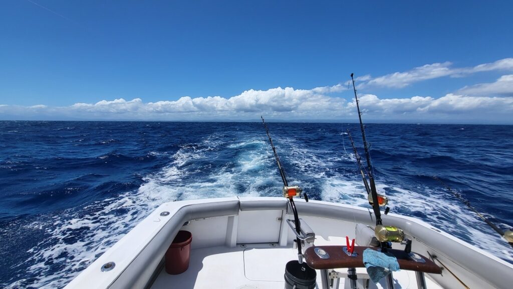 Fishing in PUERTO RICO: The Complete Guide