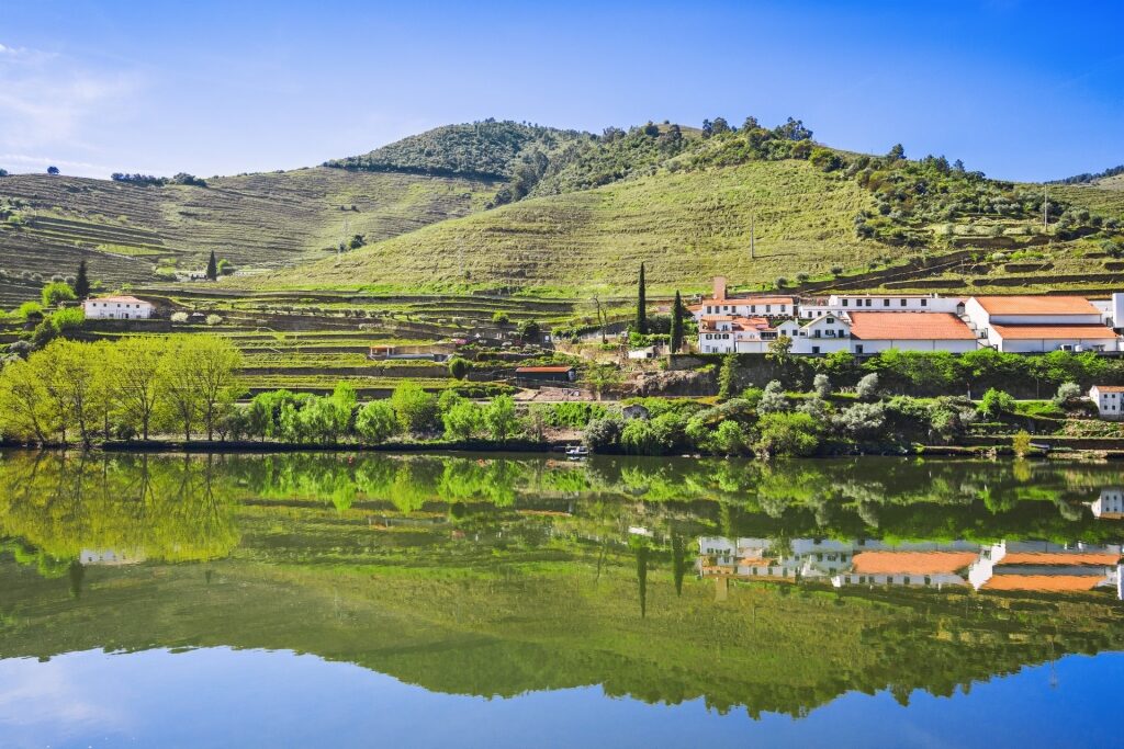 View of Douro Valley Porto