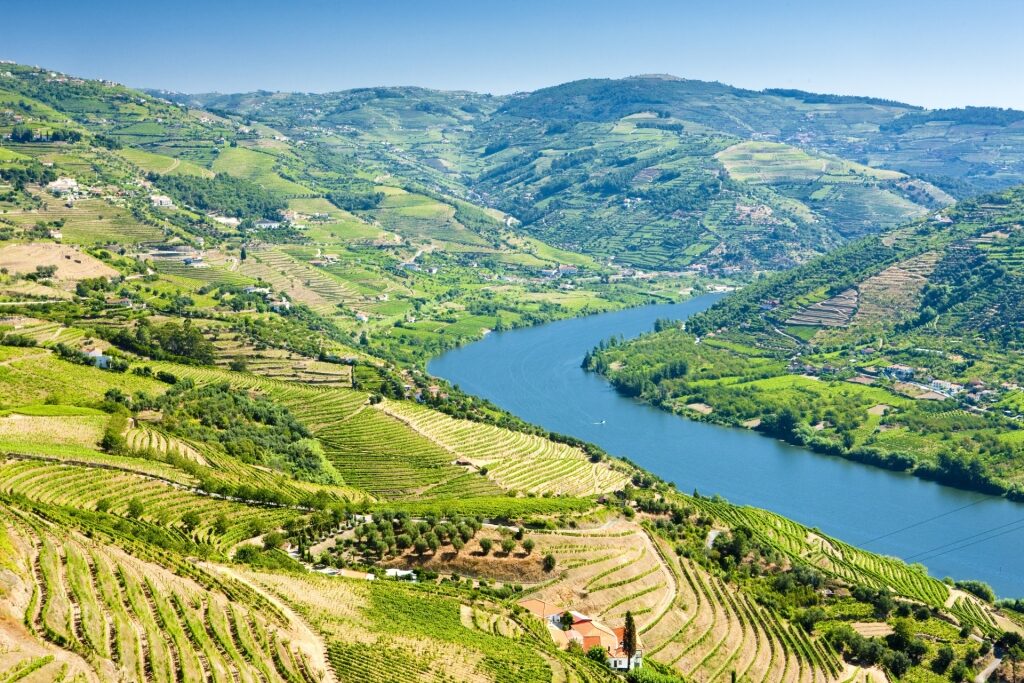 Scenic landscape of Douro Valley Porto