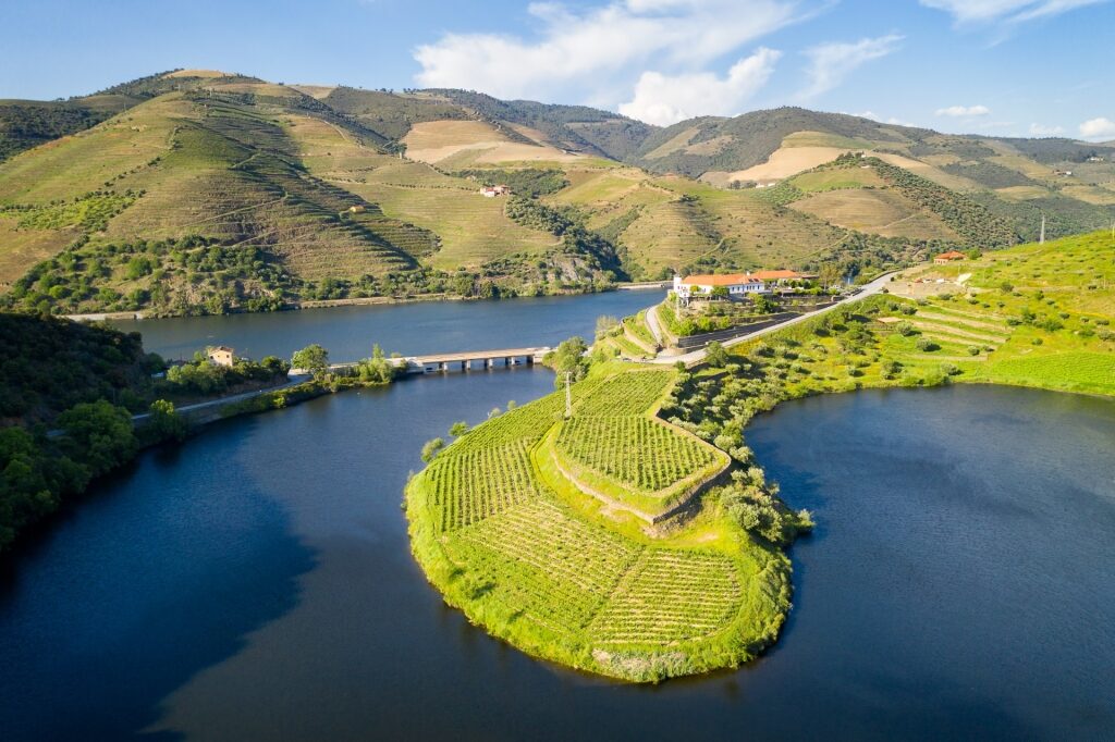 Scenic landscape of the Douro Valley