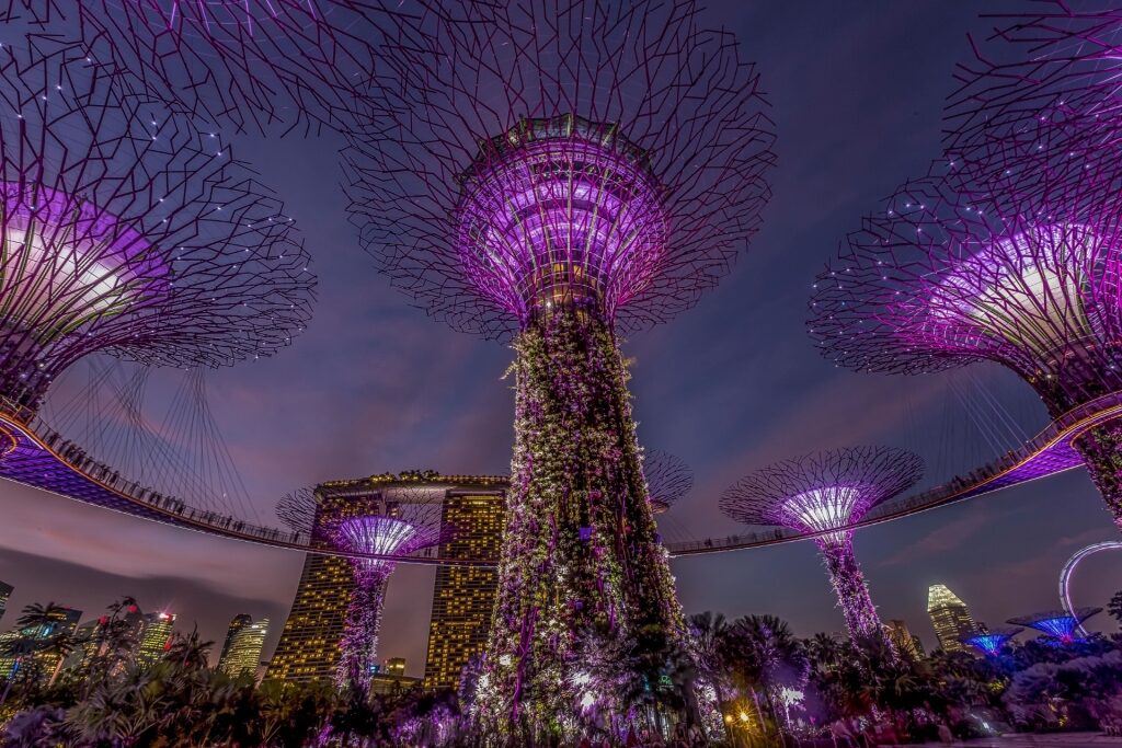 Colorful Supertrees in Gardens by the Bay, Singapore