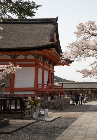 Kiyomizu Dera Temple, one of the best things to do in Kyoto