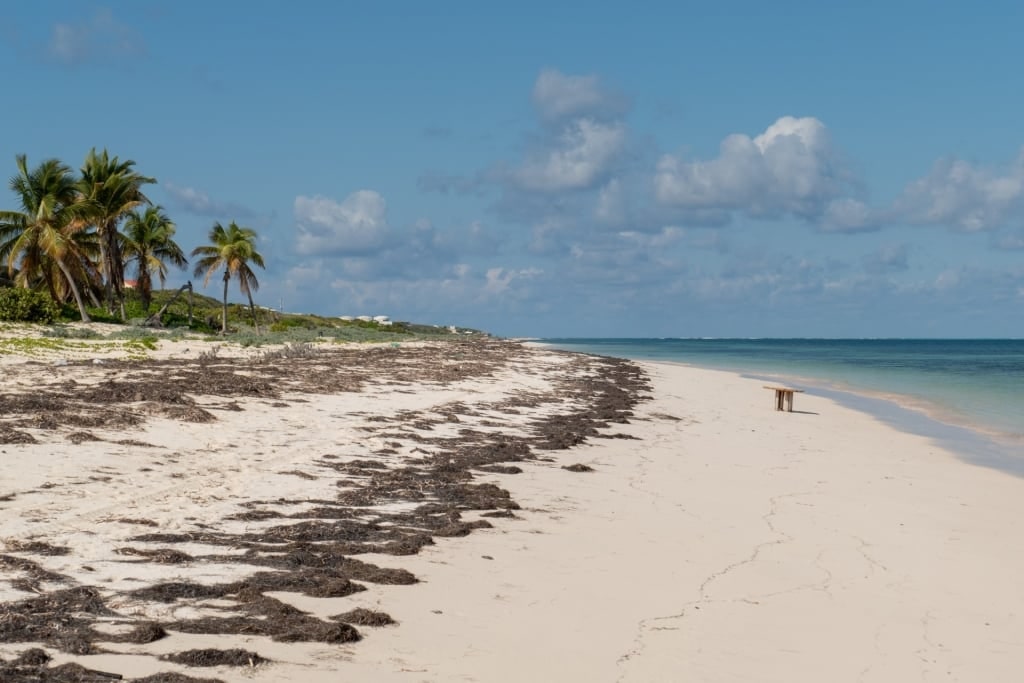 Fine sands of East Side Beach