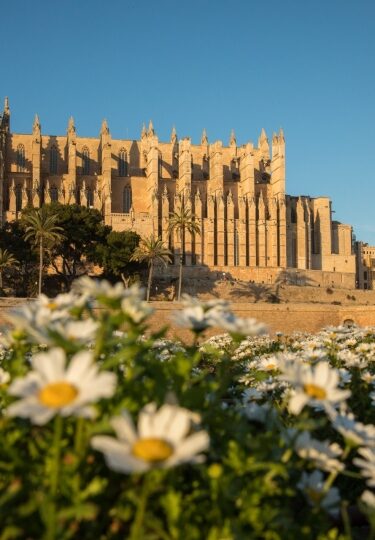 Palma, one of the best towns in Mallorca