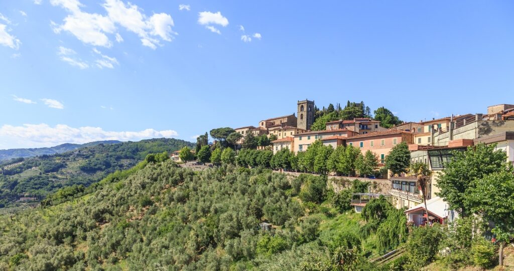 Lush landscape of Montecatini Terme