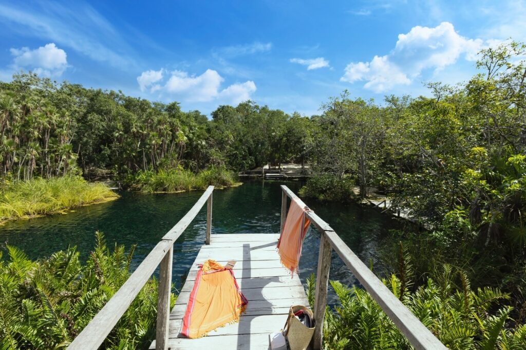 Diving board in Cenote Cristalino