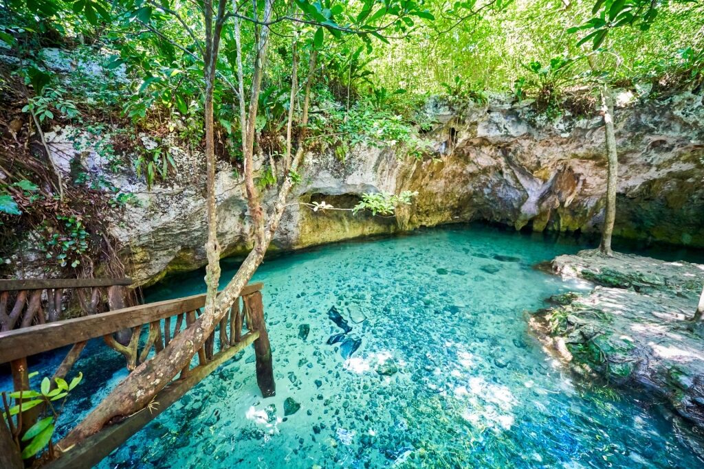 Gran Cenote, one of the best cenotes near Cancun