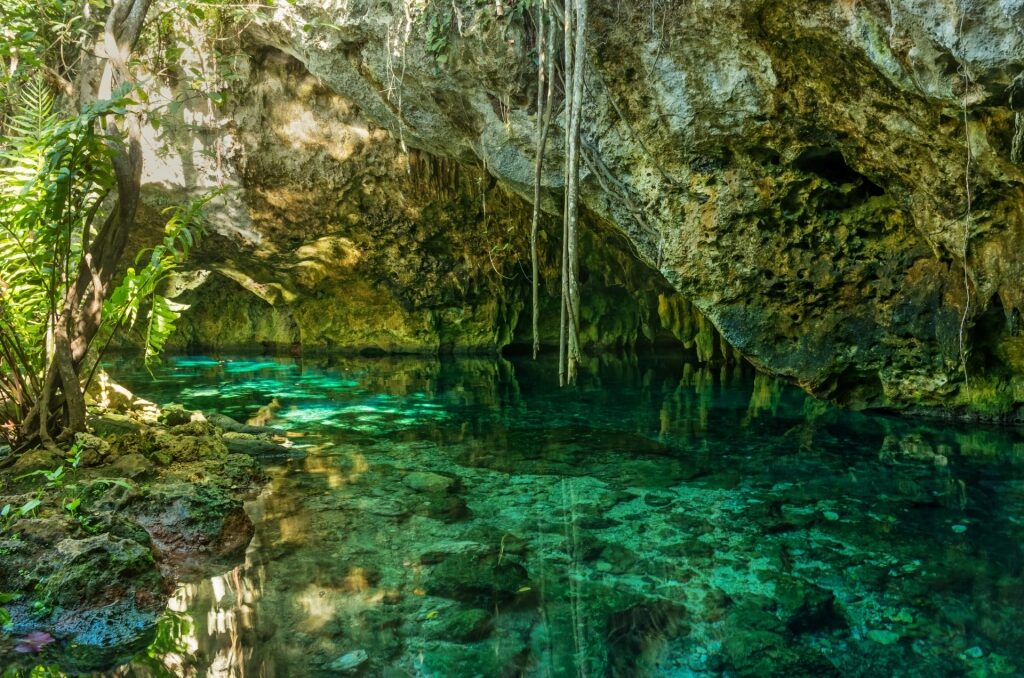 Gran Cenote, one of the best cenotes near Cancun