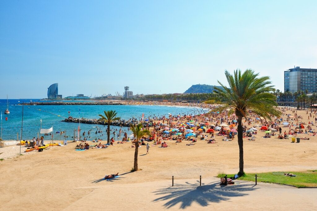 People relaxing on Barceloneta Beach
