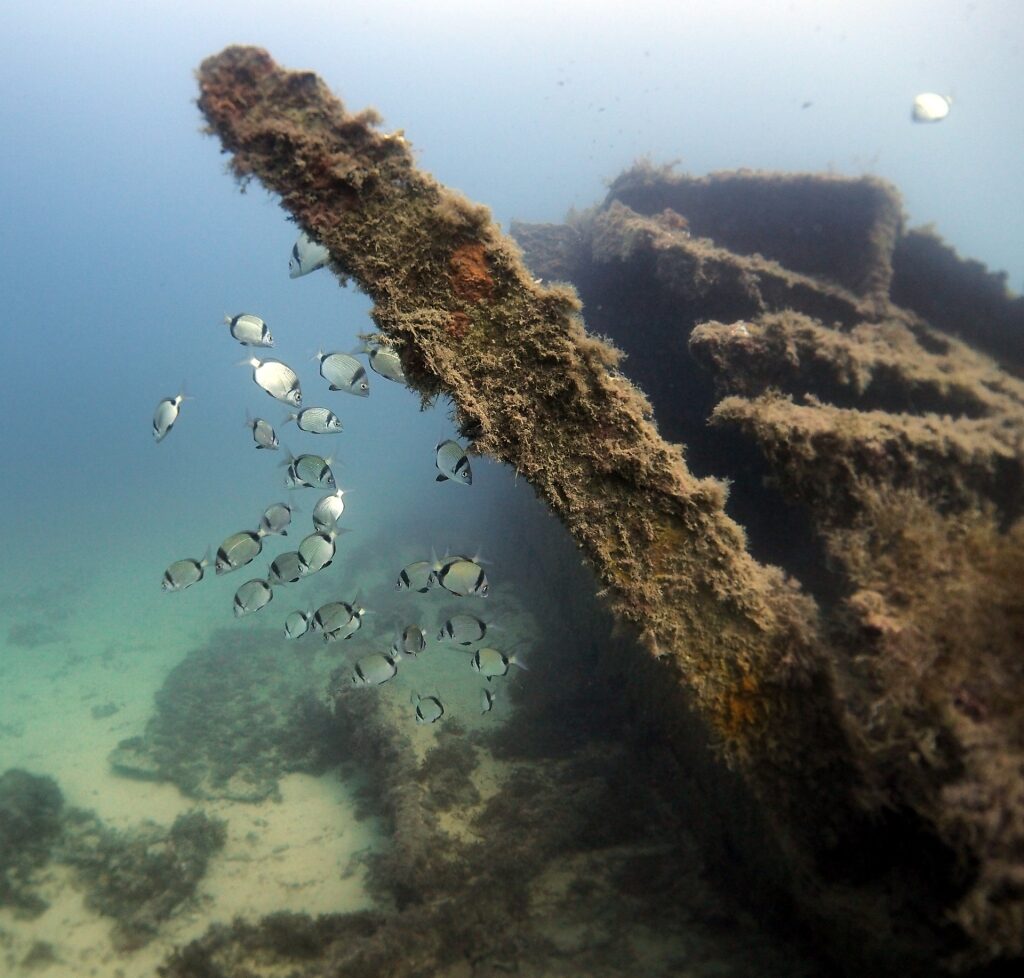 Wreck of HMS Maori