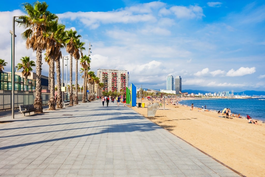 Promenade along Barceloneta Beach