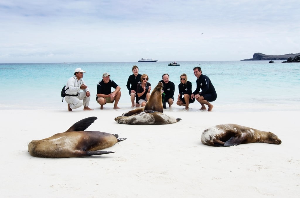 People hanging out with sea lions in the Galapagos