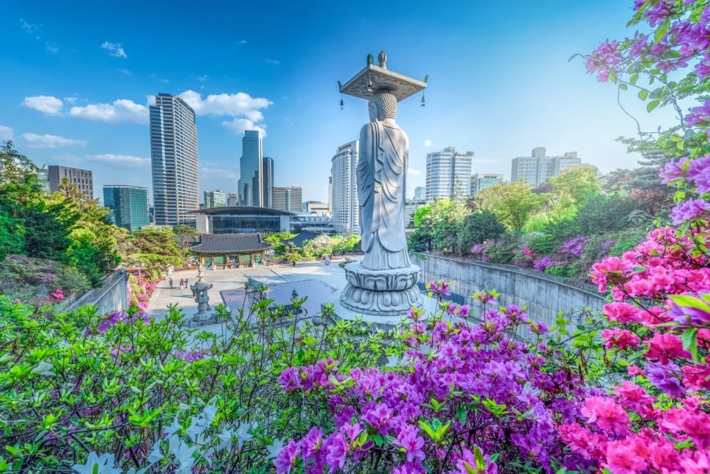 Best time to visit Seoul - Bongeunsa Temple