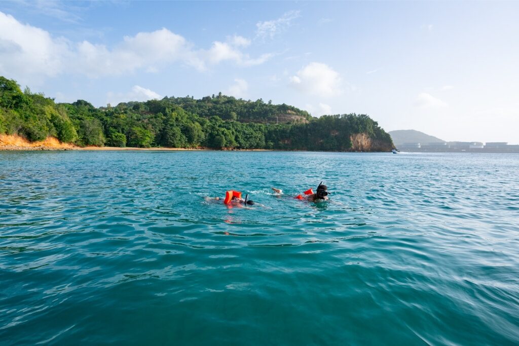 People snorkeling in St. Lucia