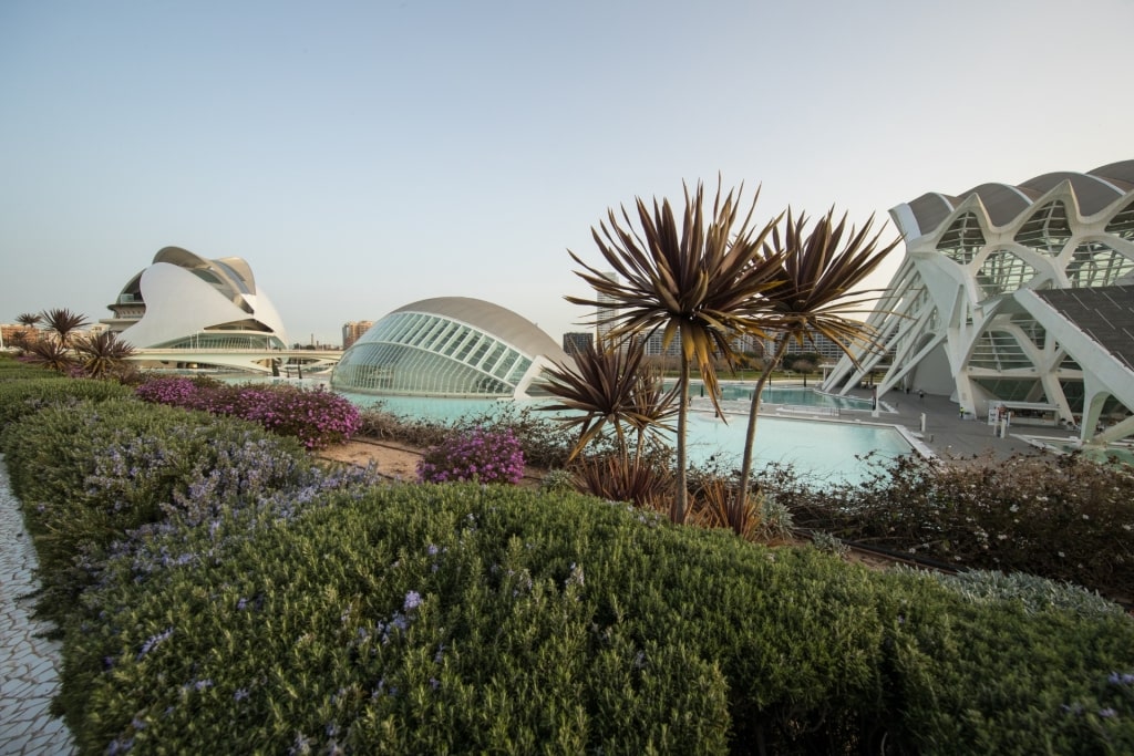 Unique architecture of the City of Arts and Sciences in Valencia, Spain