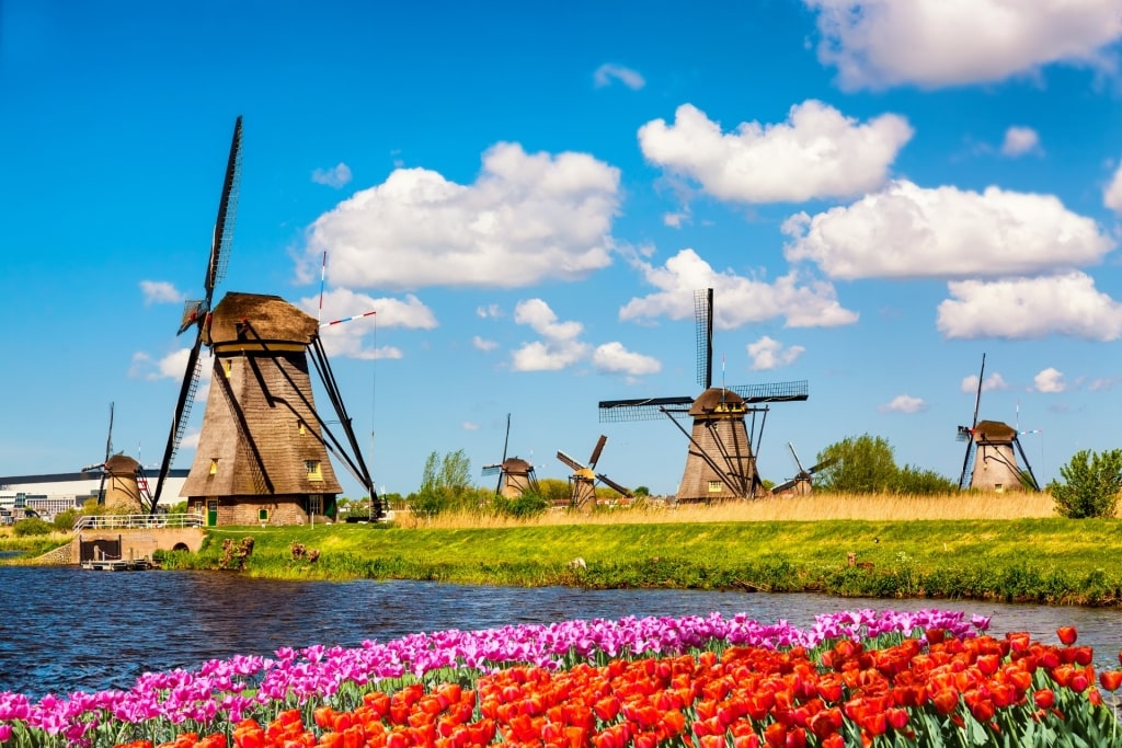 Scenic landscape of Kinderdijk, Netherlands