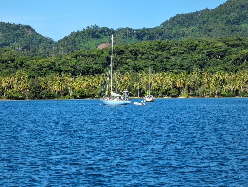 Lush landscape of Raiatea