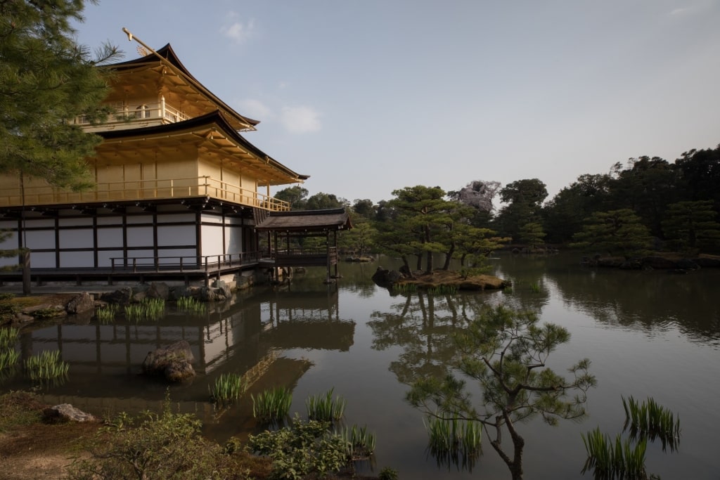 Scenic view of the Golden Pavilion, Kyoto