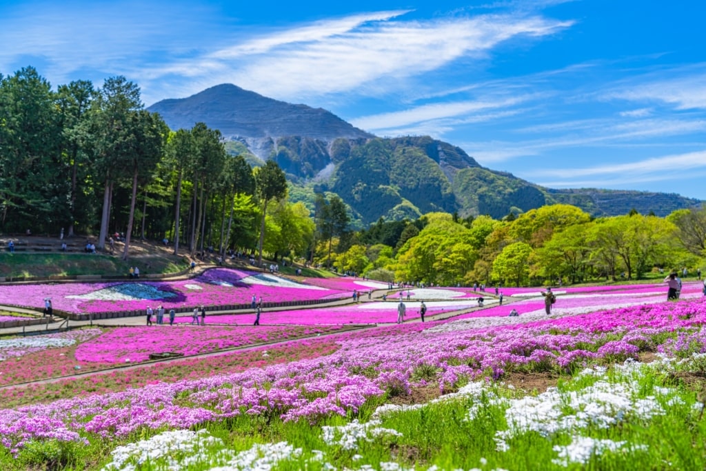 Chichibu, one of the best day trips from Tokyo