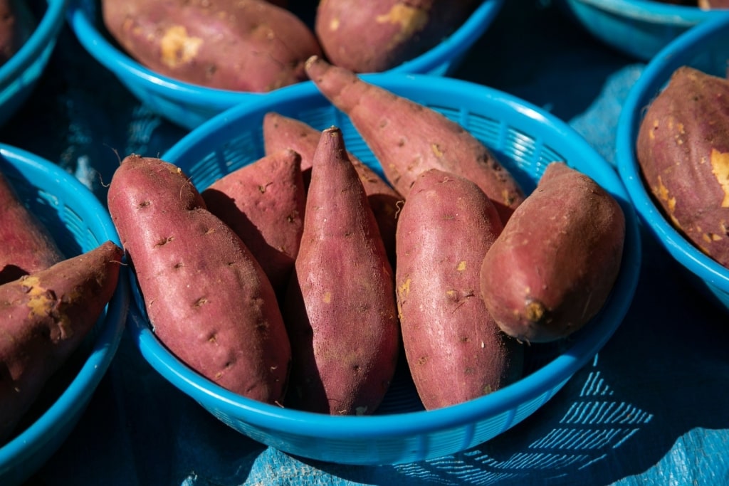 Bowls of yaki-imo or Japanese sweet potatoes