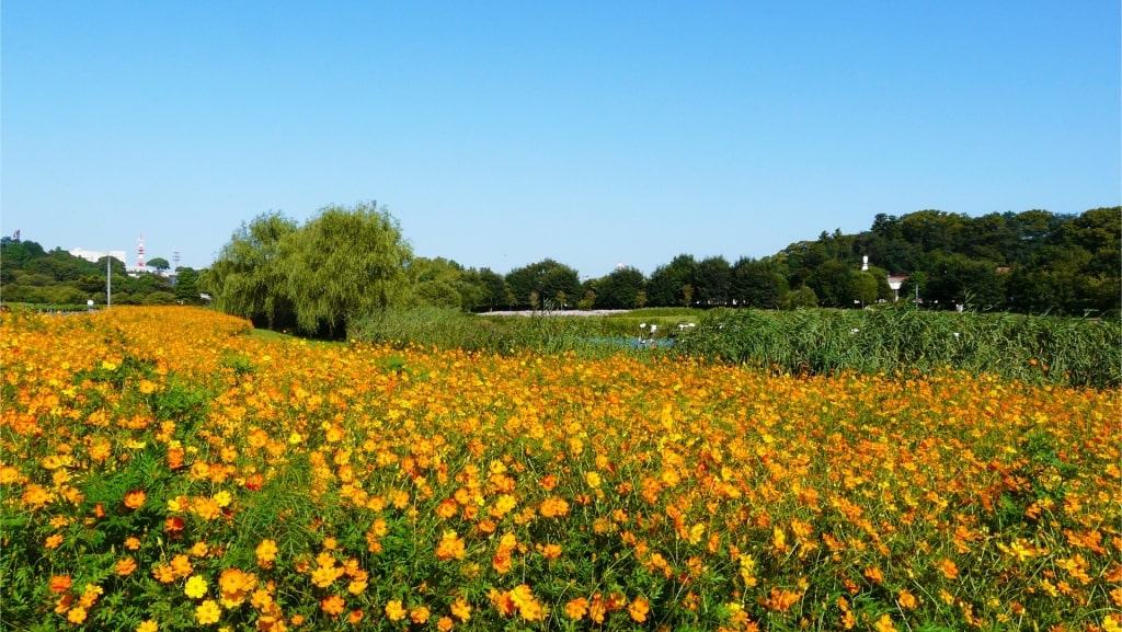 Mito, one of the best day trips from Tokyo