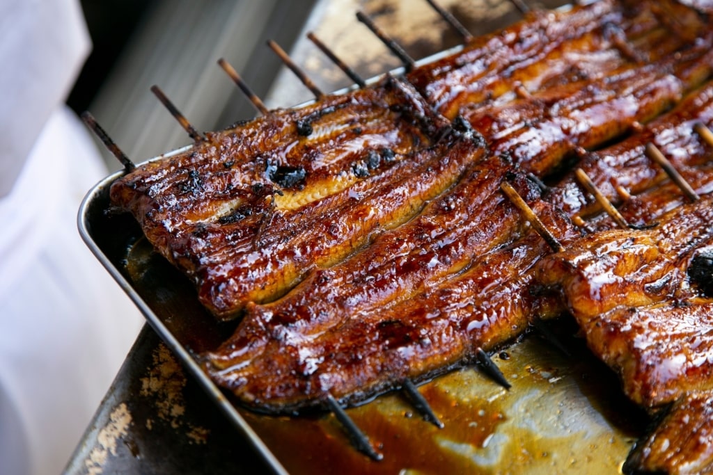 Grilled Japanese eel