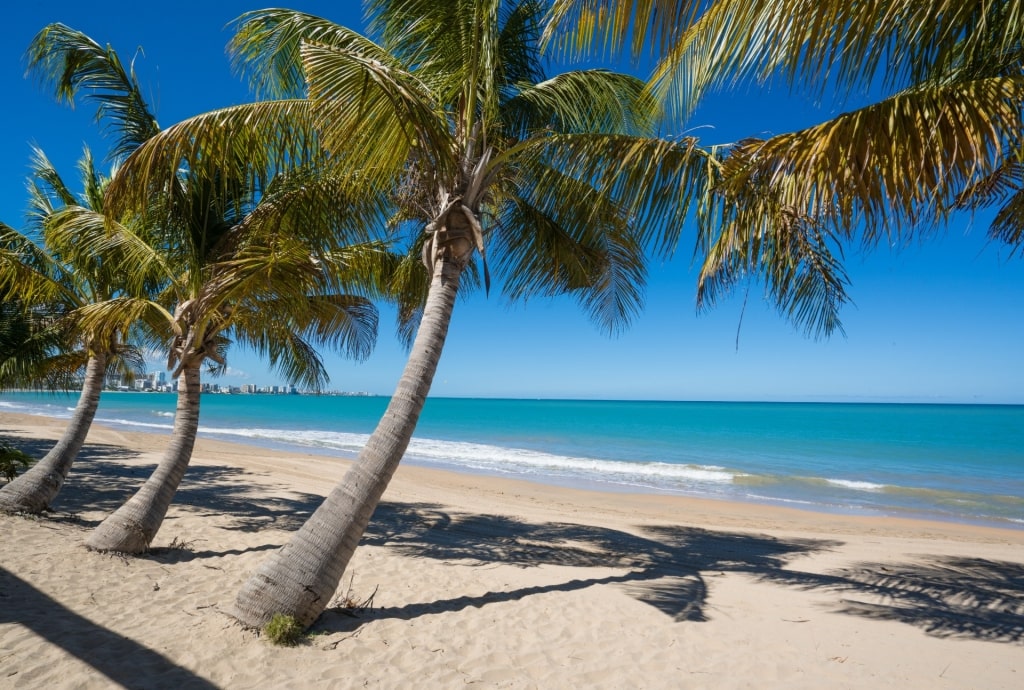 Beach in Isla Verde, Puerto Rico