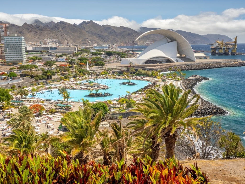 Best time to visit canary islands - Santa Cruz de Tenerife